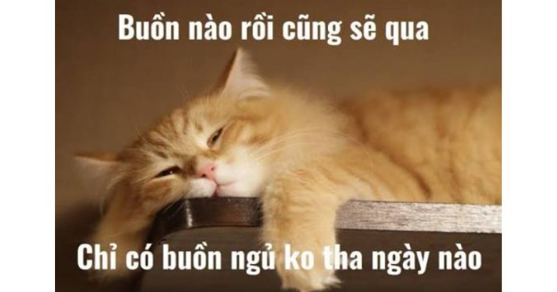 100+ lời chúc ngủ ngon hay