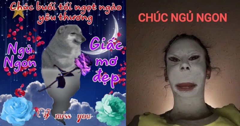50+ lời chúc ngủ ngon hài hước