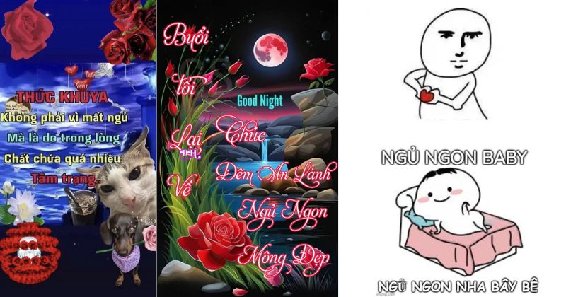 Chúc ngủ ngon hài hước bằng meme và hình ảnh