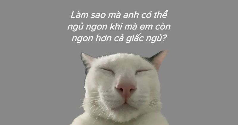 Chúc ngủ ngon hài hước dành cho người yêu