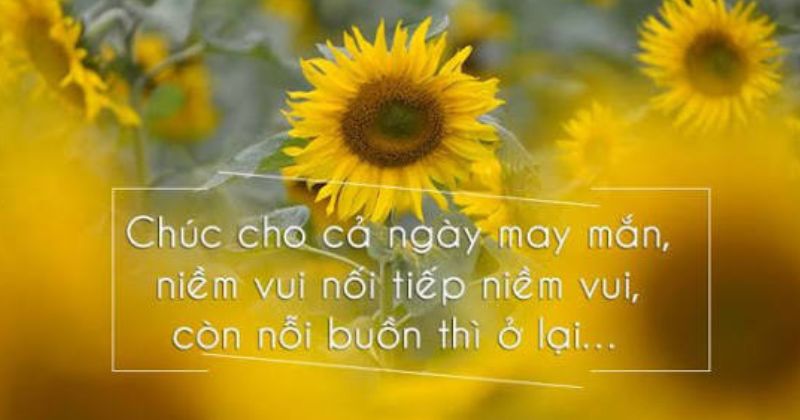 Lời chào buổi sáng dễ thương, cute