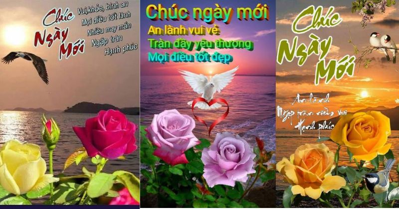 Lời chào buổi sáng hay, ý nghĩa và ấm áp