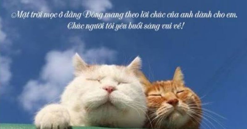 Lời chào buổi sáng thả thính