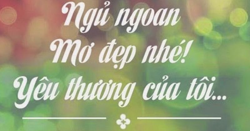 Status, caption chúc ngủ ngon đăng Facebook, TikTok