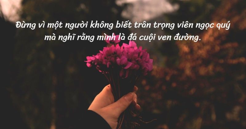 Stt chữa lành trong tình yêu