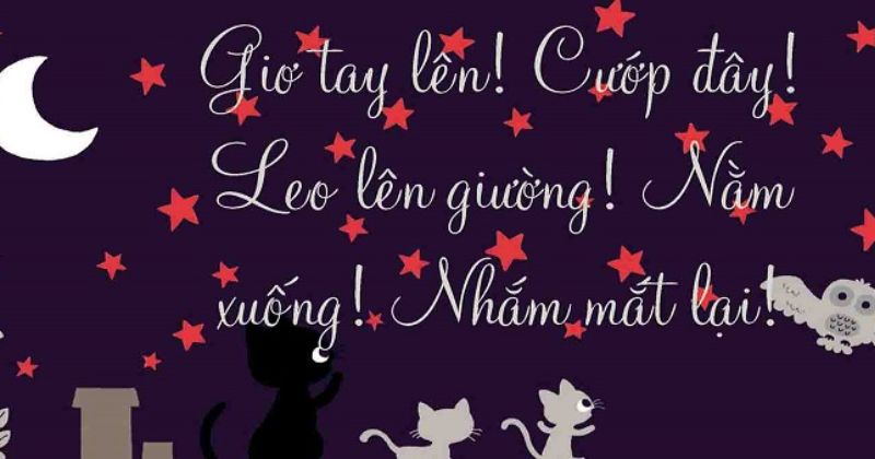 Thơ chúc ngủ ngon cho bạn bè và người thân
