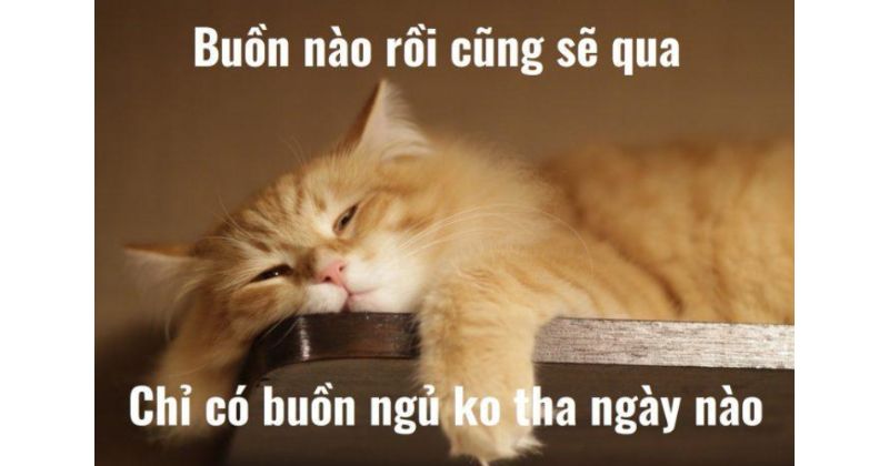 Chúc ngủ ngon hài hước cho gia đình và người thân